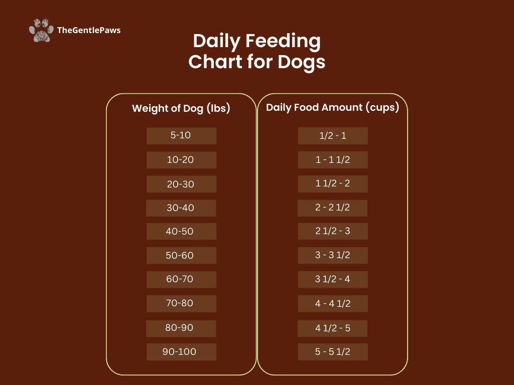 daily feeding chart for dogs